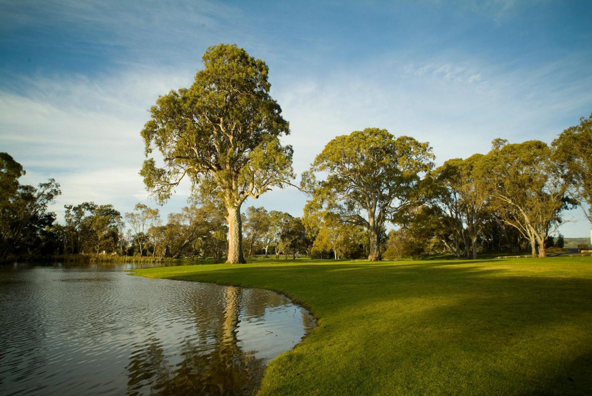 Serafino Mclaren Vale Luaran gambar