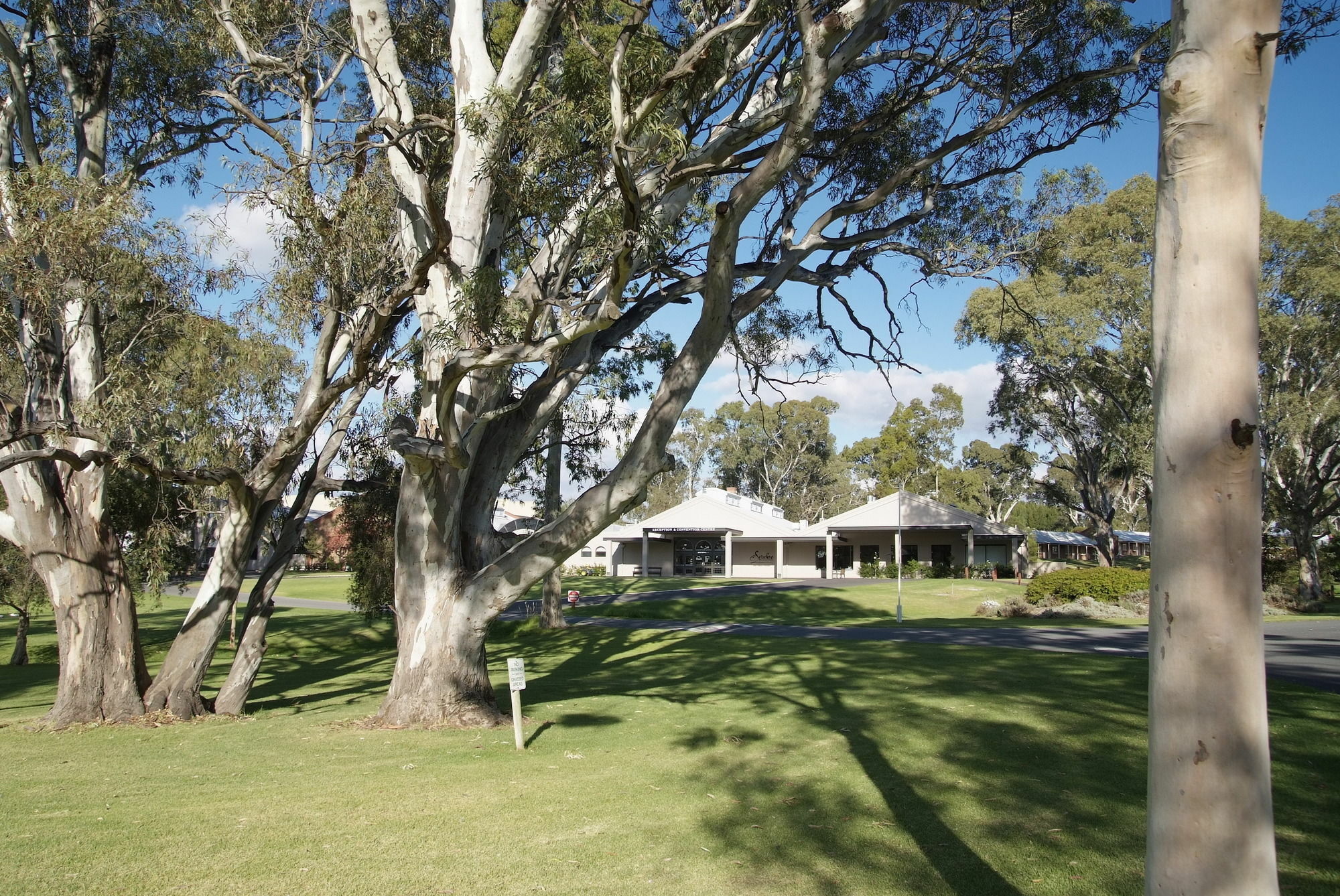Serafino Mclaren Vale Luaran gambar