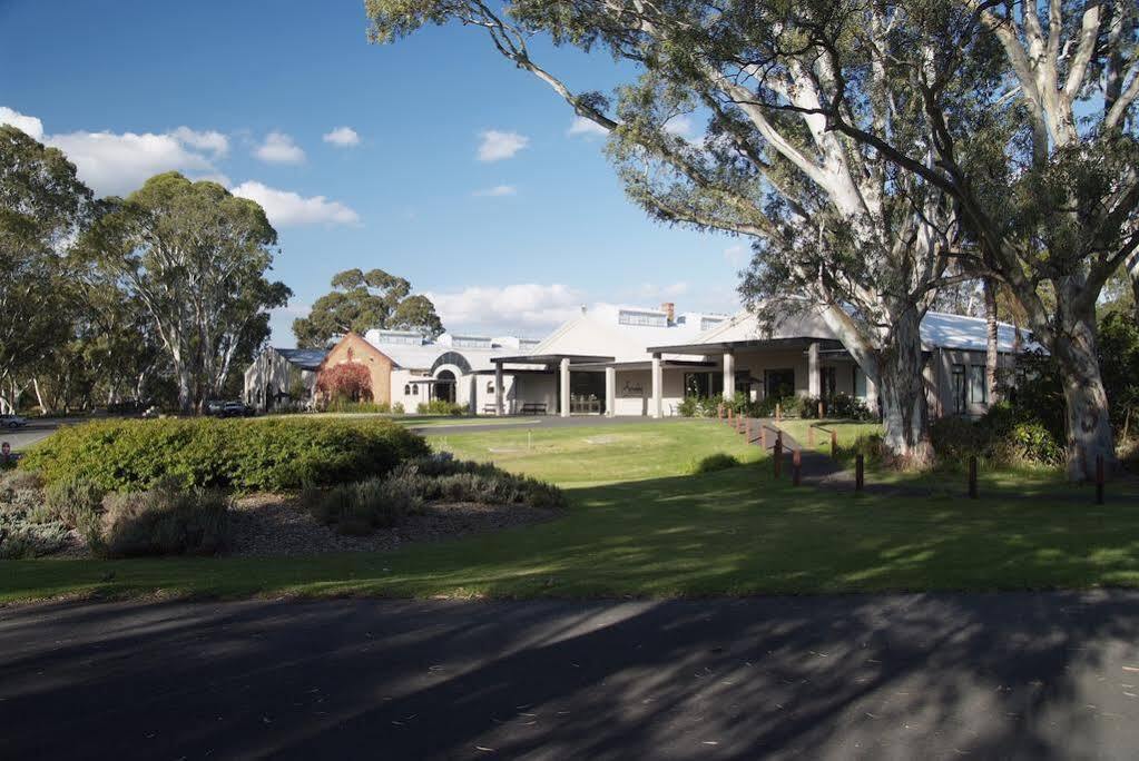 Serafino Mclaren Vale Luaran gambar